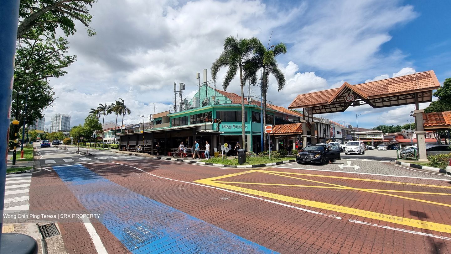 Serangoon Garden Estate (D19), Semi-Detached #416674611